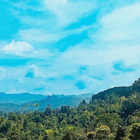 Ella Zenith View Hotel Bagian luar foto