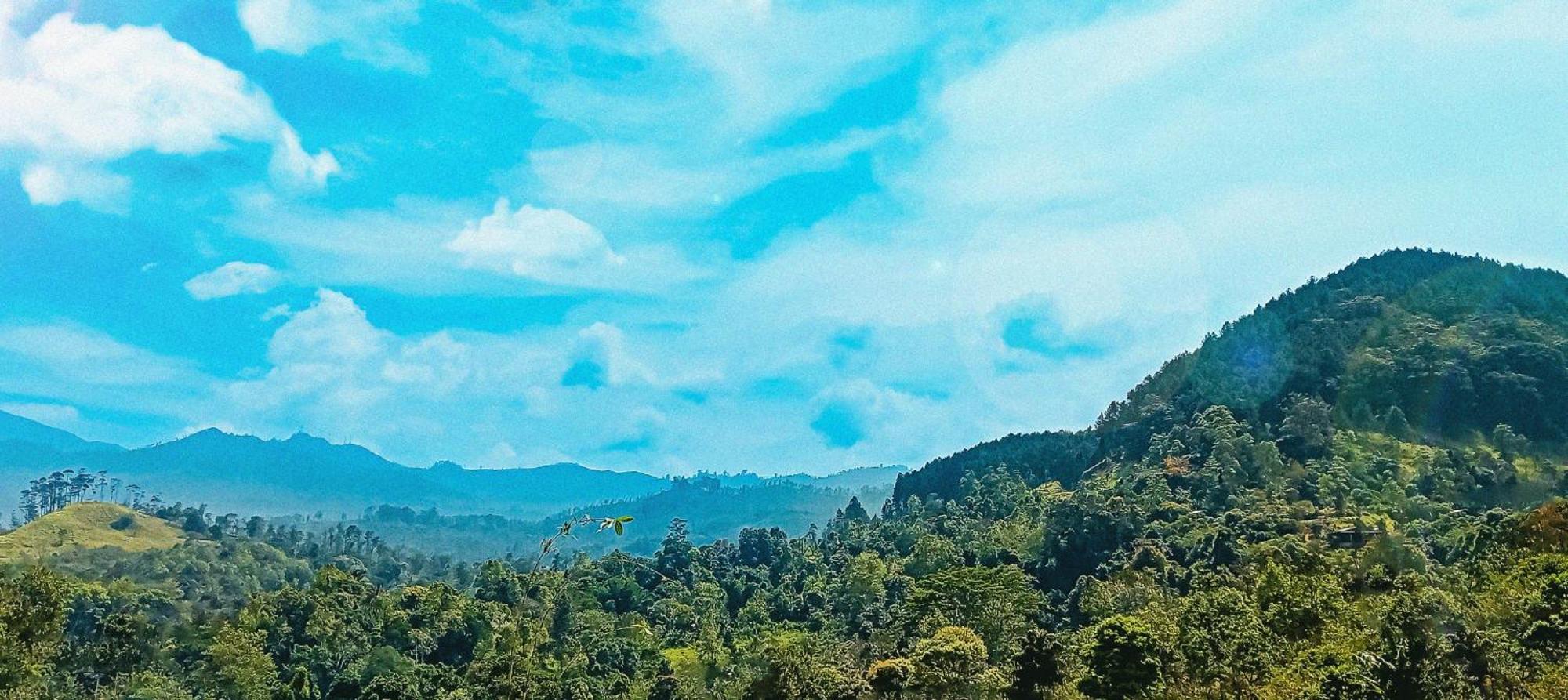 Ella Zenith View Hotel Bagian luar foto